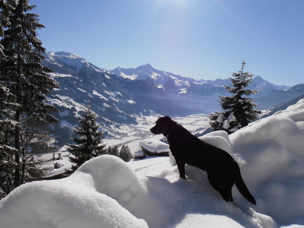Breierhof Appartement Zell am Ziller Buitenkant foto